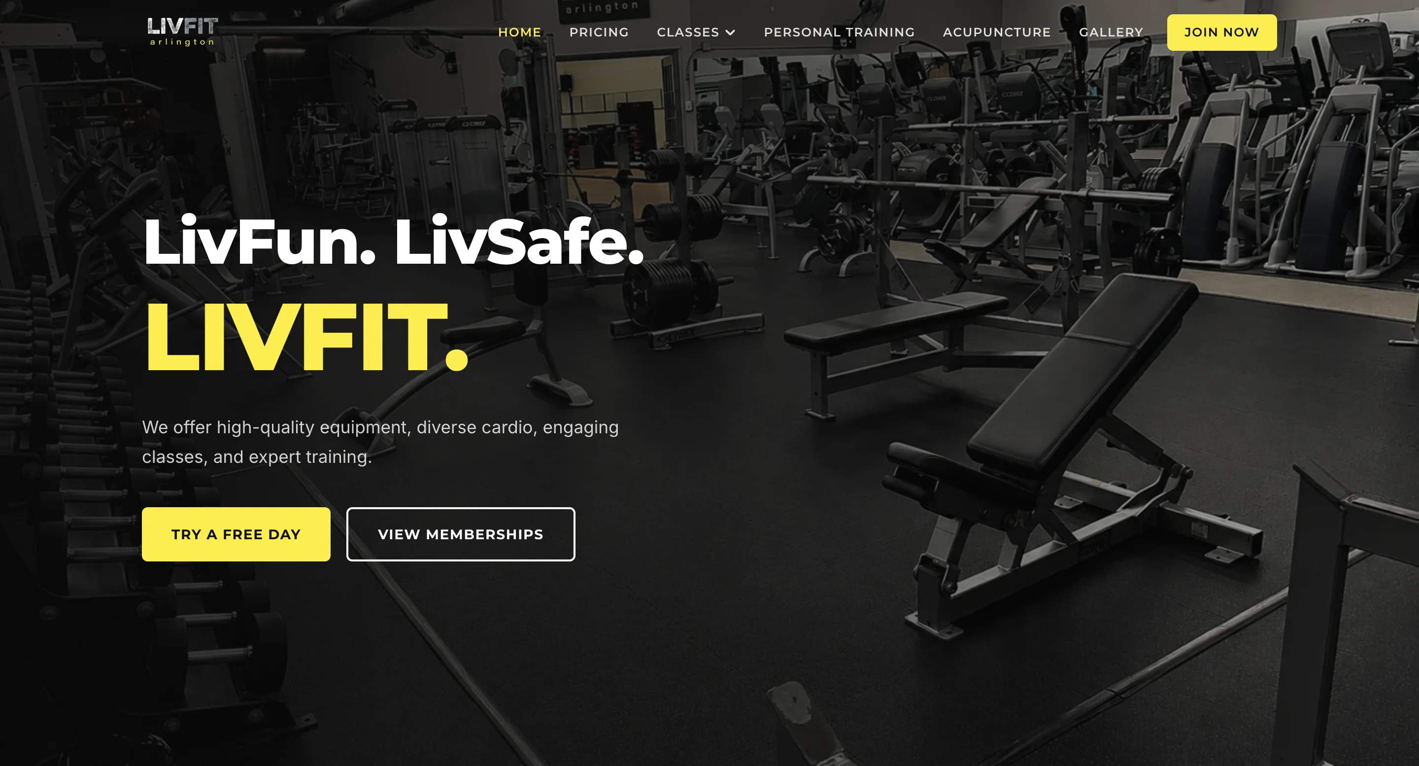 LivFit Homepage After
